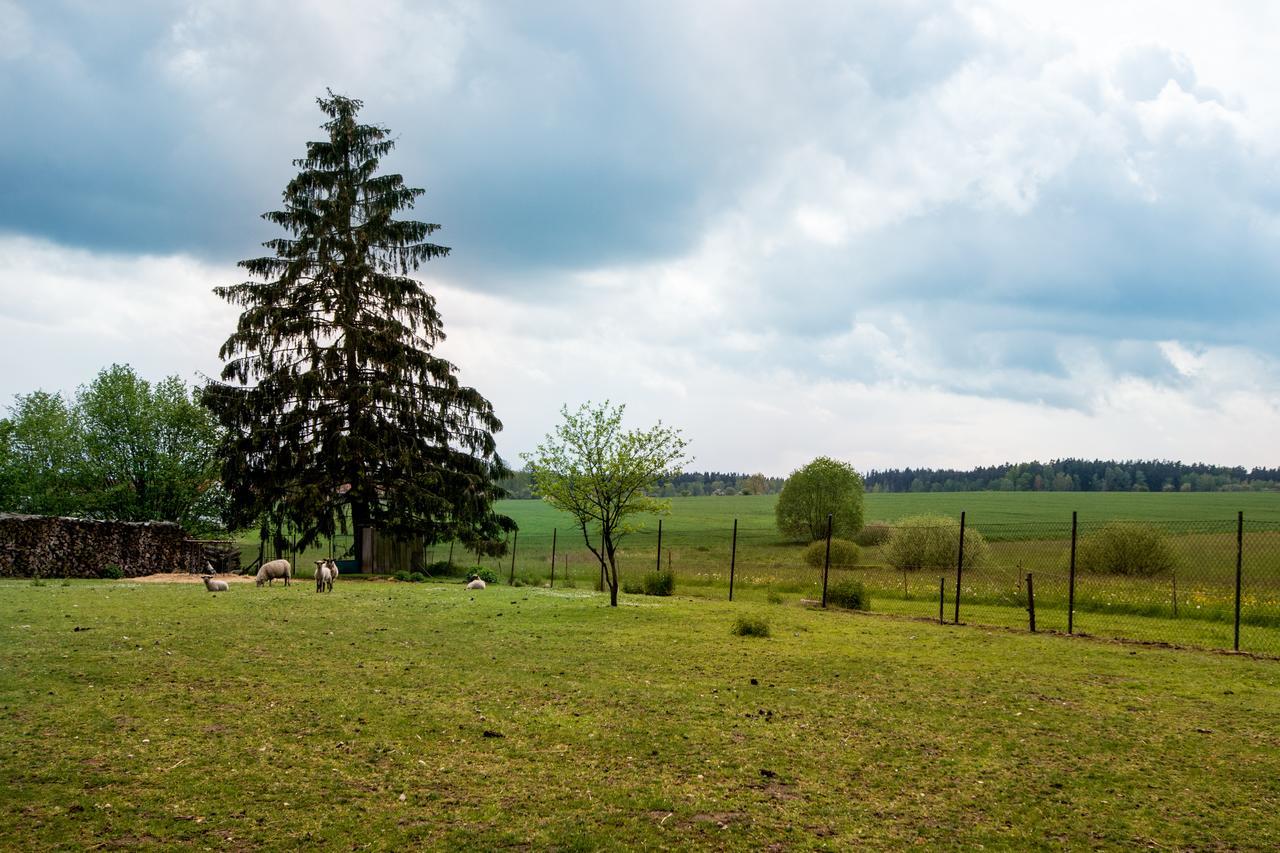 Penzion U Kostela Mlaka Luaran gambar